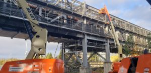 risk mitigation for website